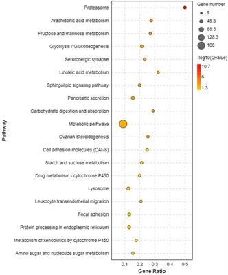 Integrated analysis of mRNA and microRNA expression profiles in hepatopancreas of Litopenaeus vannamei under acute exposure to MC-LR